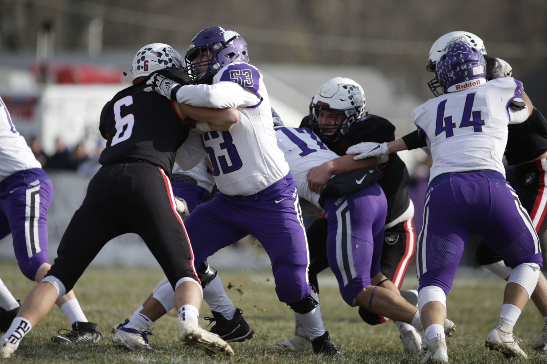 GALLERY-CAM-V-ARCOLA-03-111719.JPG